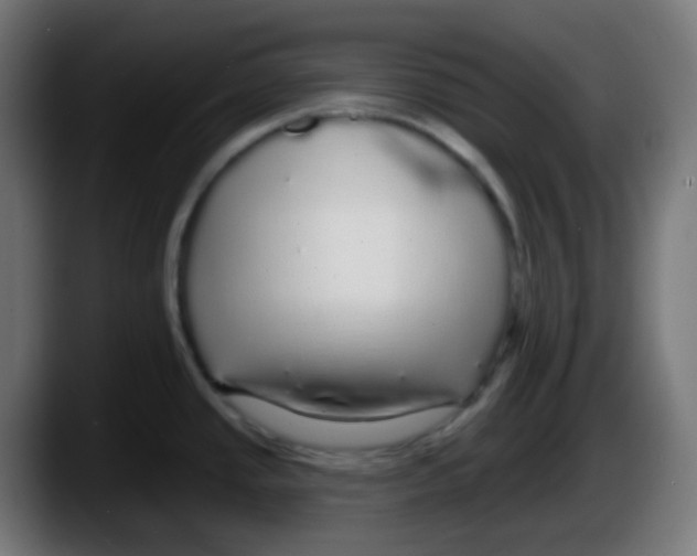 X0000087571437200705251811