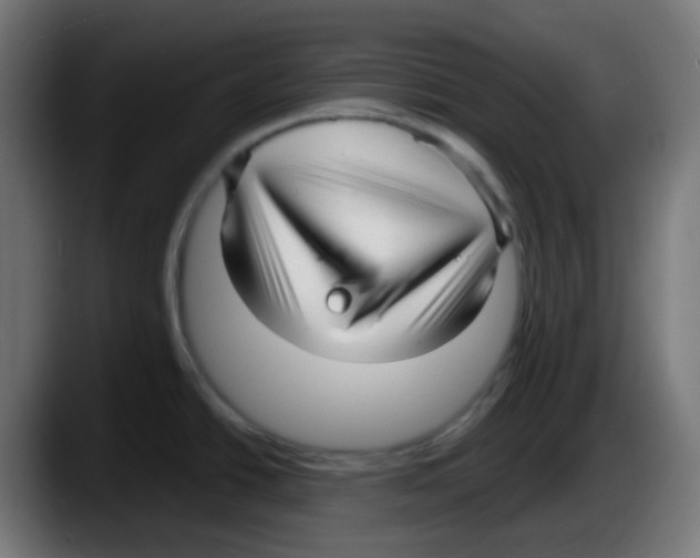 X0000087571438200705251811