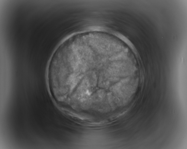 X0000087571439200705251811