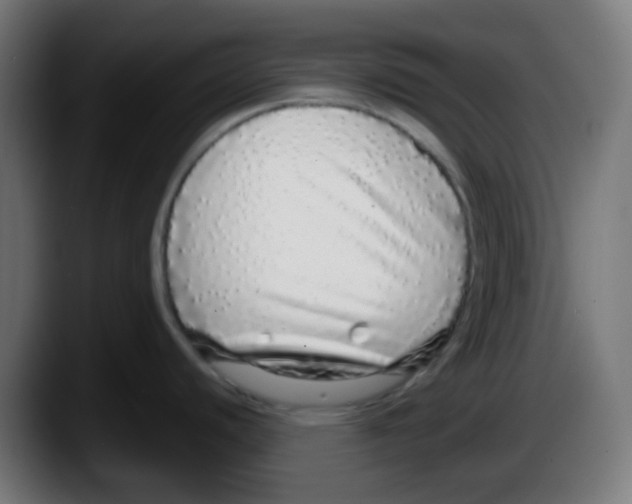 X0000087571440200705251811