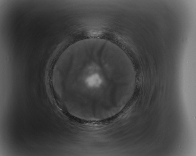 X0000087571441200705251811