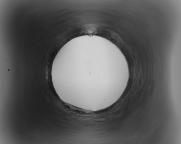 X0000087571442200705251811