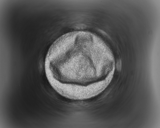 X0000087571444200705251811