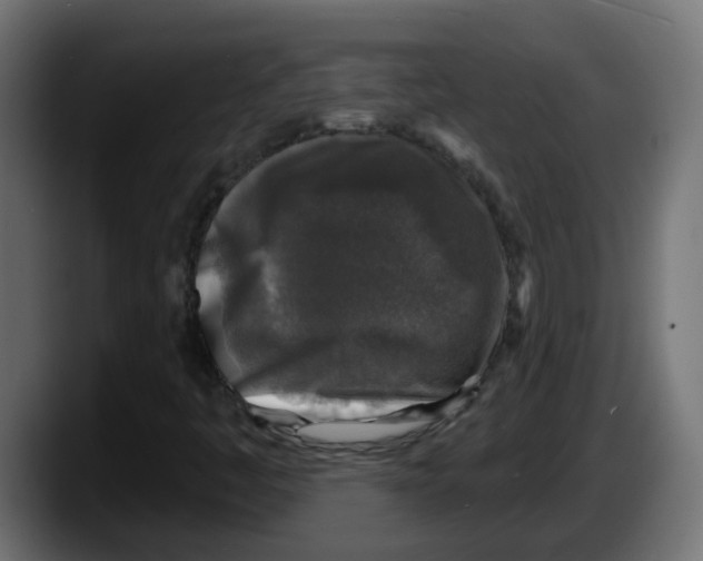 X0000087571445200705251811