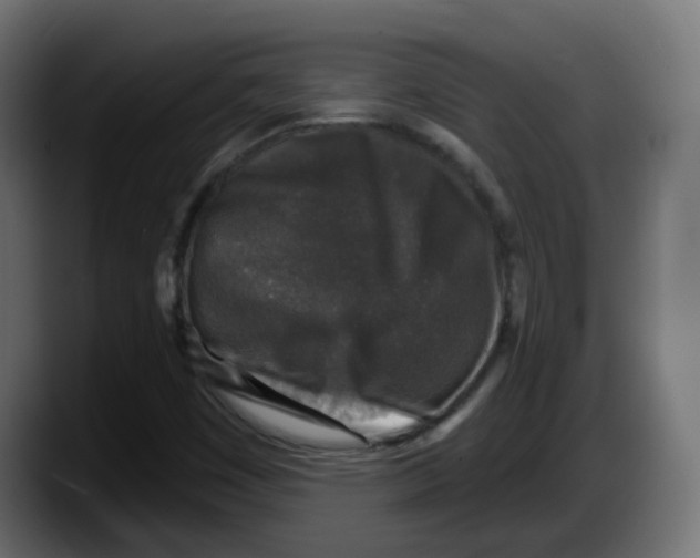 X0000087571449200705251811