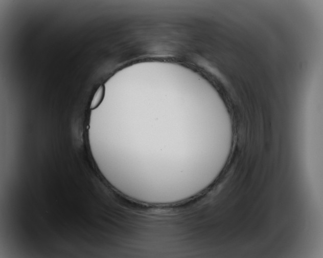 X0000087571451200705251811