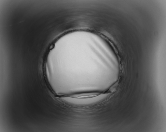 X0000087571452200705251811