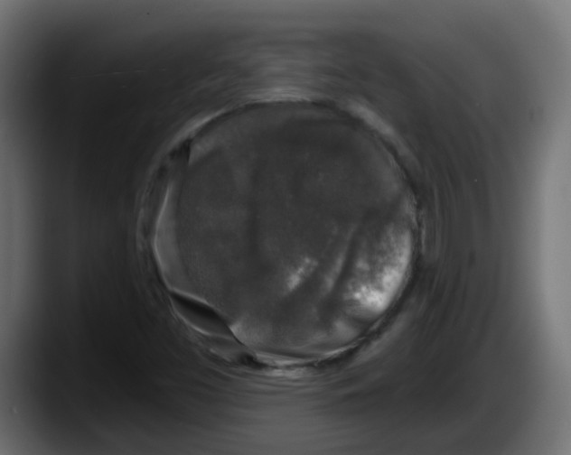 X0000087571453200705251811