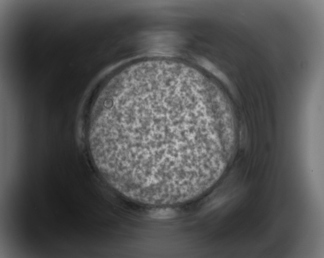 X0000087571454200705251811