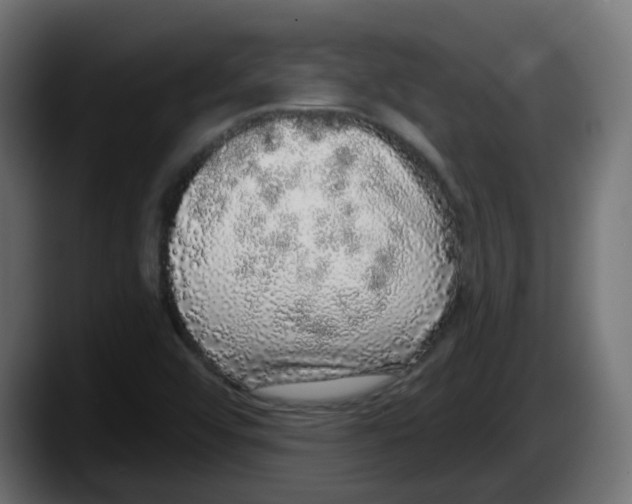 X0000087571456200705251811