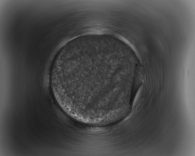 X0000087571459200705251811