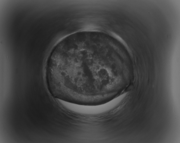 X0000087571463200705251810