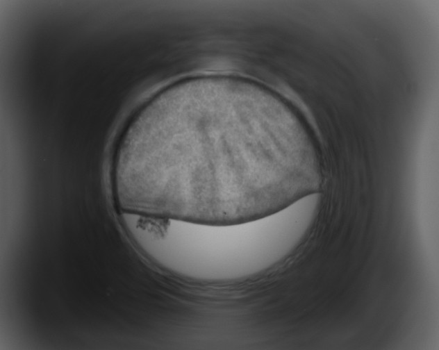 X0000087571464200705251810