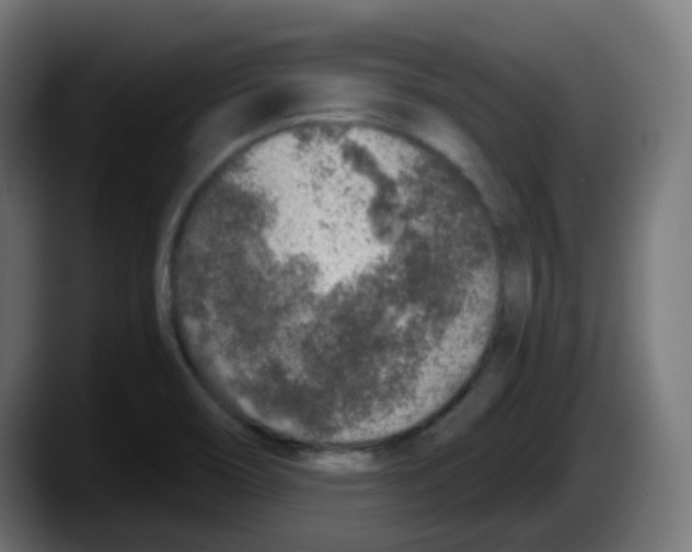 X0000087571466200705251810