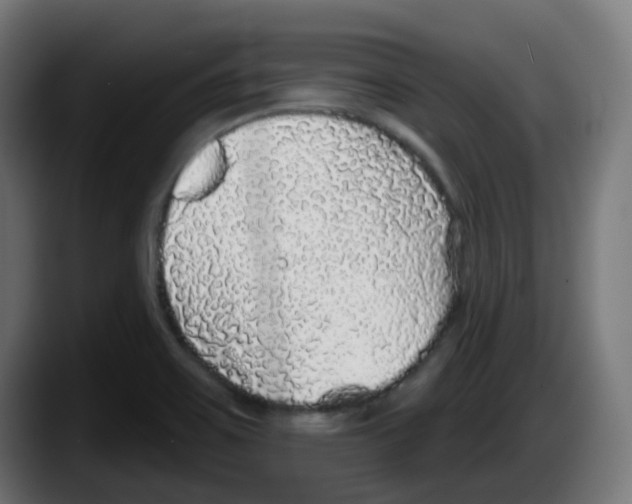 X0000087571467200705251810