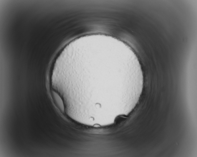 X0000087571468200705251810