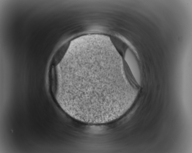 X0000087571469200705251810