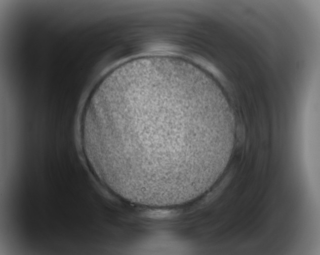 X0000087571470200705251810