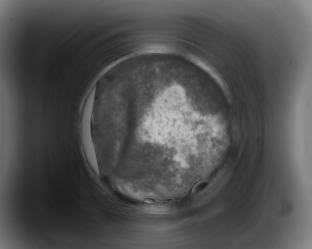 X0000087571473200705251810