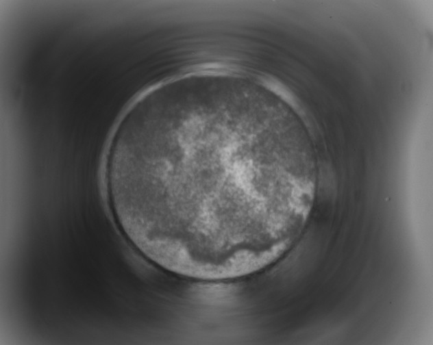 X0000087571474200705251810