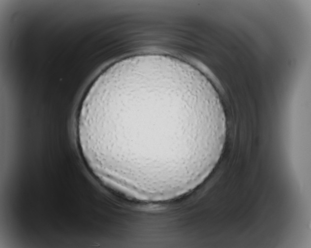 X0000087571476200705251810