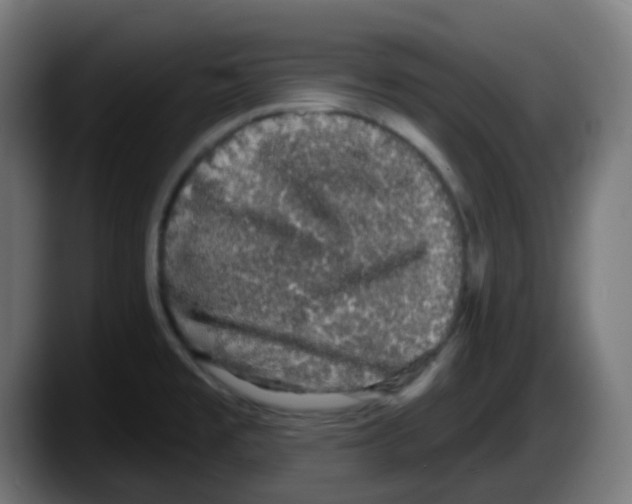 X0000087571477200705251810