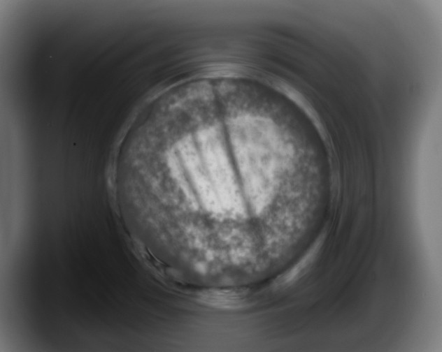 X0000087571481200705251810