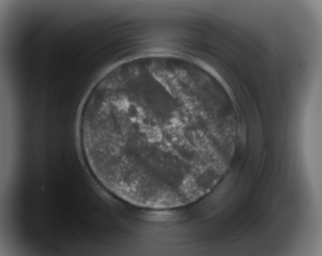 X0000087571482200705251810