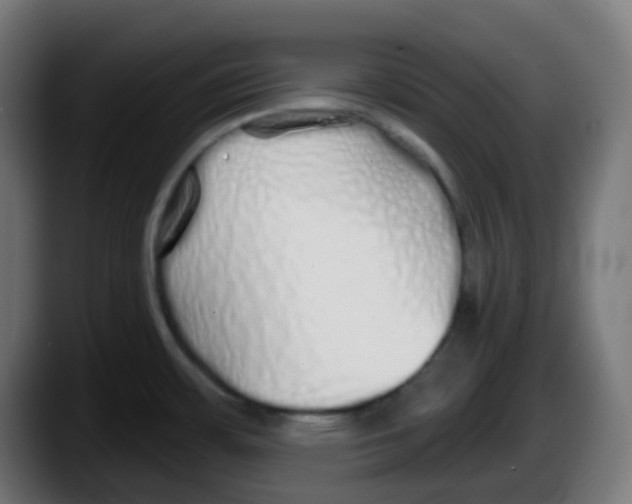 X0000087571483200705251810