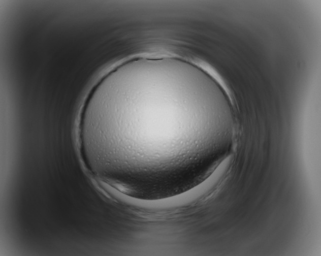 X0000087571485200705251810