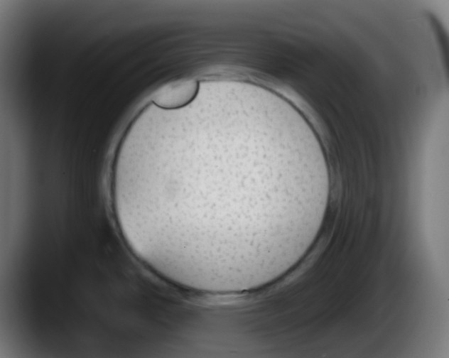 X0000087571486200705251810