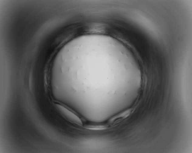 X0000087571487200705251810