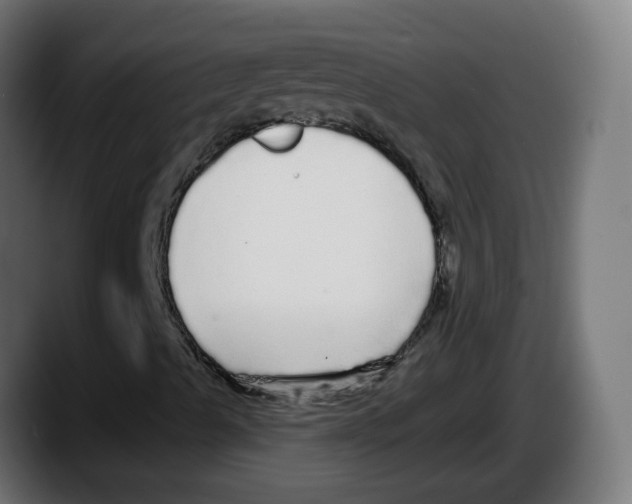 X0000087571489200705251810