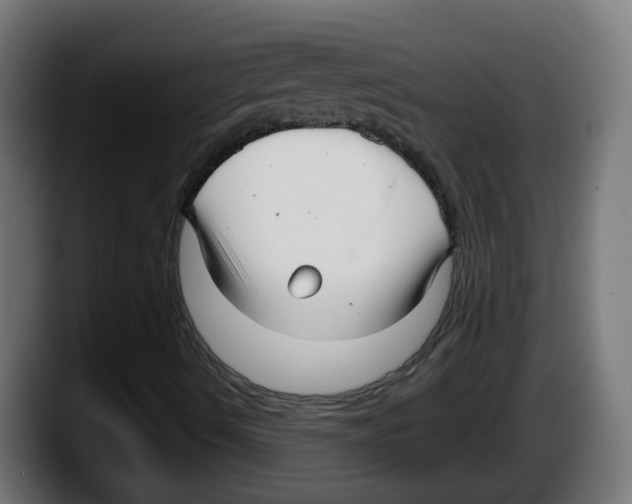 X0000087571490200705251810