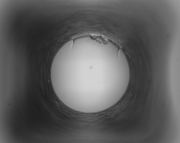 X0000087571492200705251810