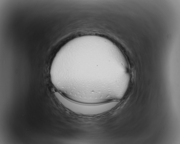 X0000087571494200705251810