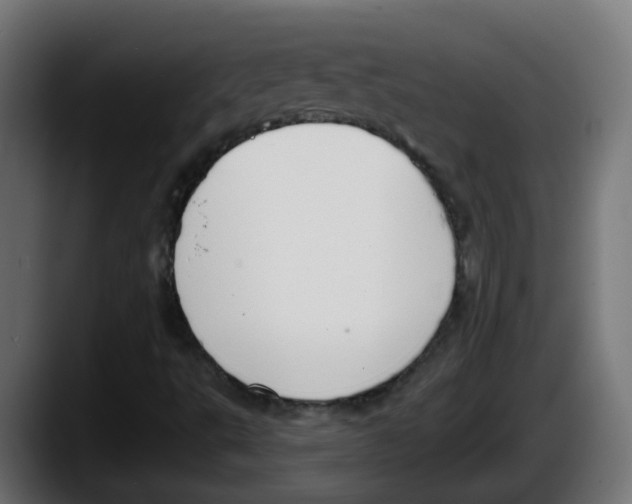 X0000087571495200705251810