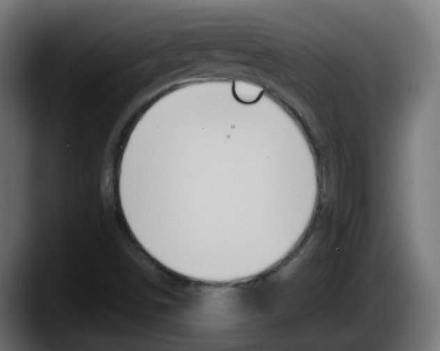 X0000087571498200705251810