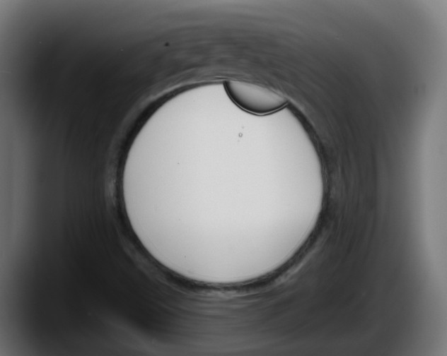 X0000087571499200705251810