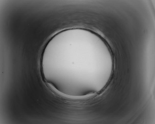 X0000087571500200705251810