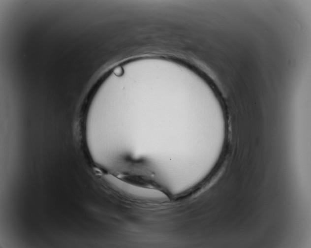 X0000087571501200705251810