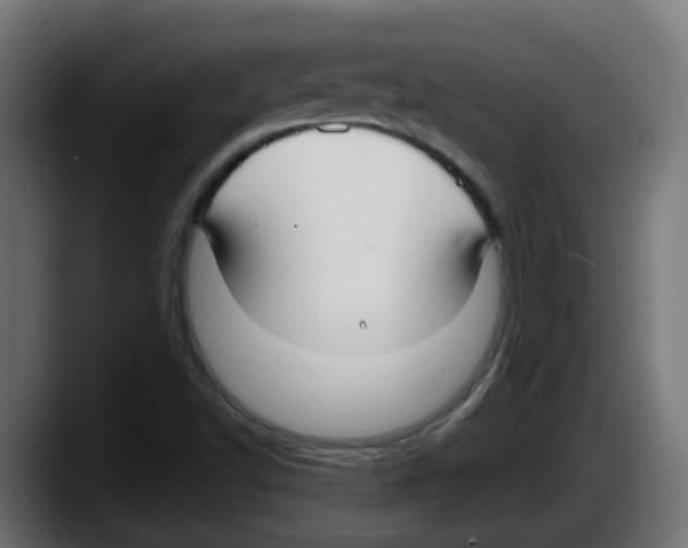 X0000087571502200705251810