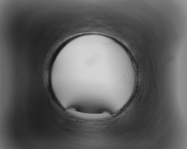 X0000087571503200705251810