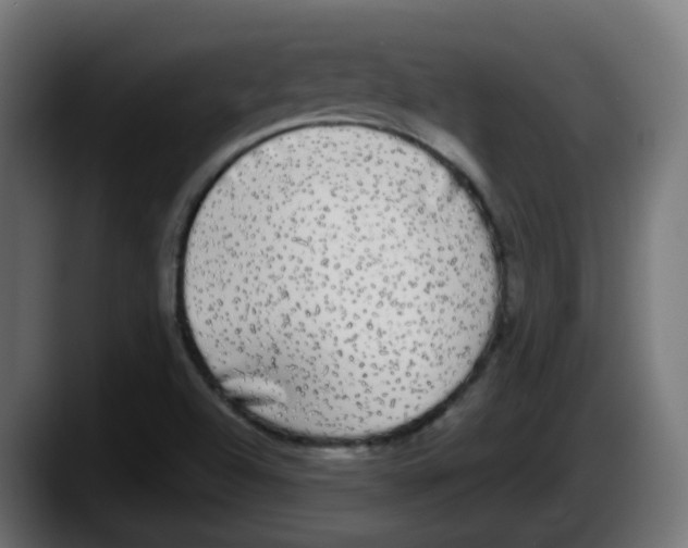 X0000087571504200705251810