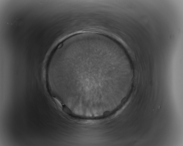 X0000087571506200705251810