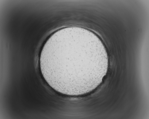 X0000087571507200705251810