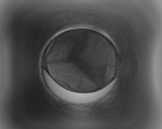 X0000087571508200705251810