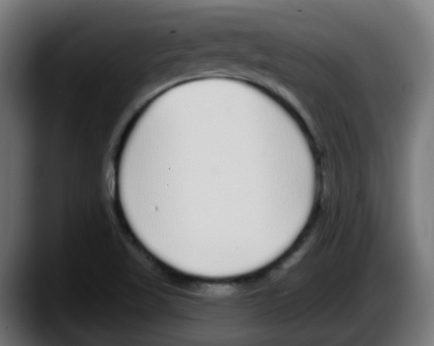 X0000087571509200705251810