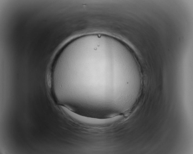 X0000087571510200705251810