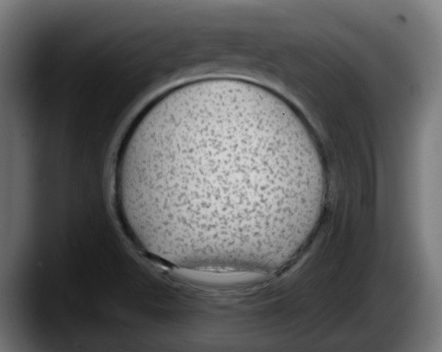 X0000087571511200705251810